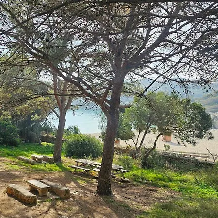 Casa Domingos Apartment Calas de Mallorca